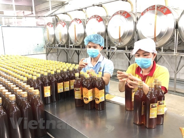 Sản xuất mật ong tại công ty cổ phần tập đoàn Xuân Nguyên. (Ảnh: Mỹ Phương/Vietnam+)
