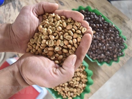 Doanh nghiệp Thành phố Hồ Chí Minh linh hoạt nắm bắt mọi cơ hội