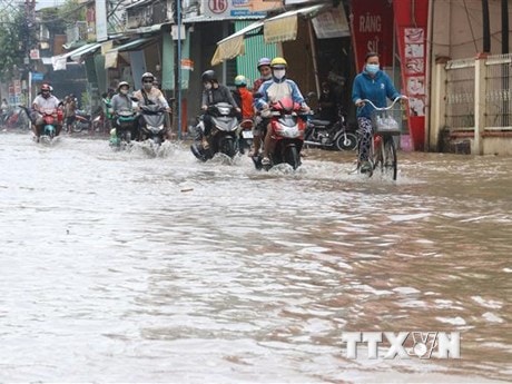 Thành phố Hồ Chí Minh chủ động ứng phó đợt triều cường lên cao dịp Tết