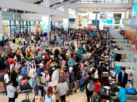 Tín hiệu phục hồi, tăng trưởng ấn tượng của hàng không Việt sau Tết