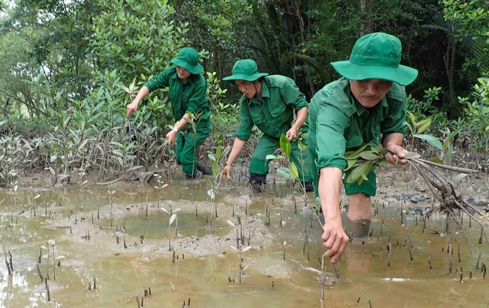TPHCM hướng tới phát triển carbon thấp