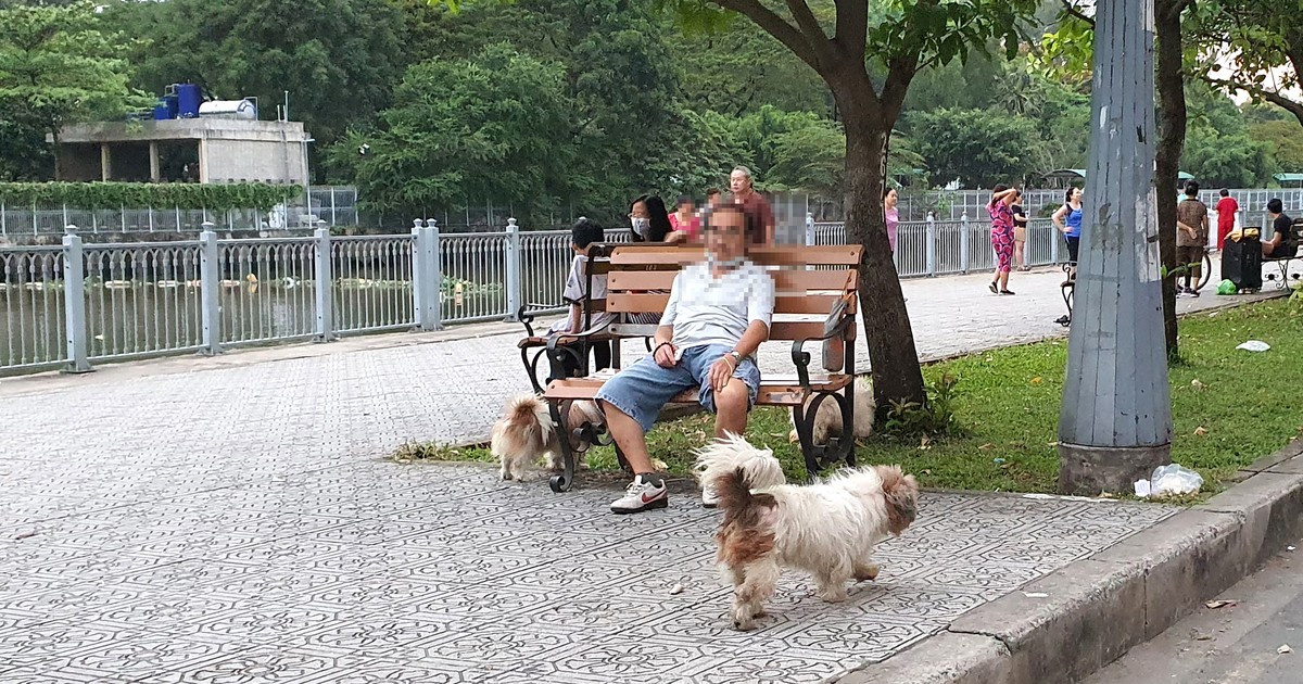 Nuôi động vật trong đô thị sao cho phù hợp, an toàn