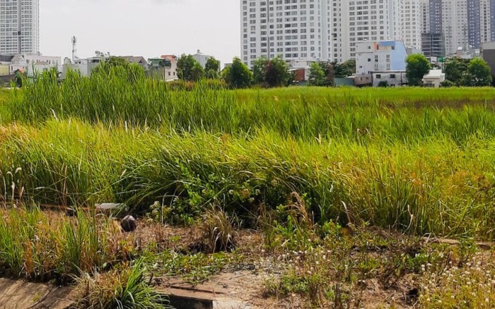 Ảnh minh họa.