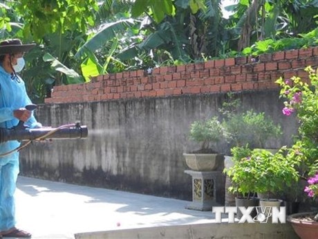 Thành phố Hồ Chí Minh: Dịch sốt xuất huyết giảm nhưng vẫn ở mức cao