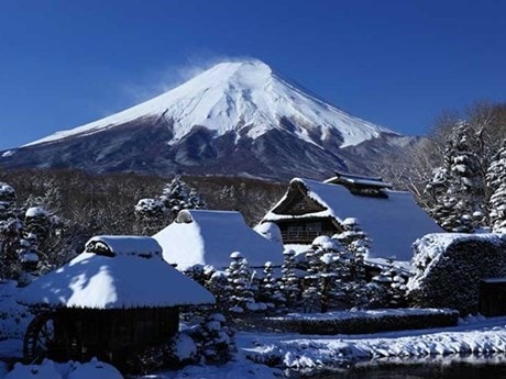 Doanh nghiệp Thành phố Hồ Chí Minh kích cầu thị trường du lịch quốc tế