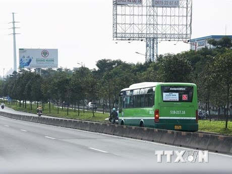 Thành phố Hồ Chí Minh: Xử phạt ba người đi bộ không đúng quy định