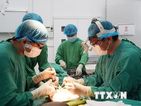 Các bác sỹ BV Chợ Rẫy và BV Việt Đức nỗ lực ghép tạng xuyên Việt