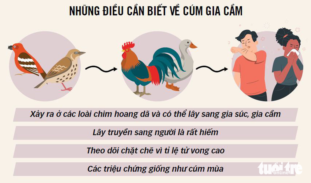 Khi nào xét nghiệm xác định cúm gia cầm H5N1?