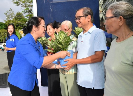 Chủ tịch Ủy ban MTTQ Việt Nam TPHCM Trần Kim Yến trao cây xanh cho người dân. Ảnh: VIỆT DŨNG