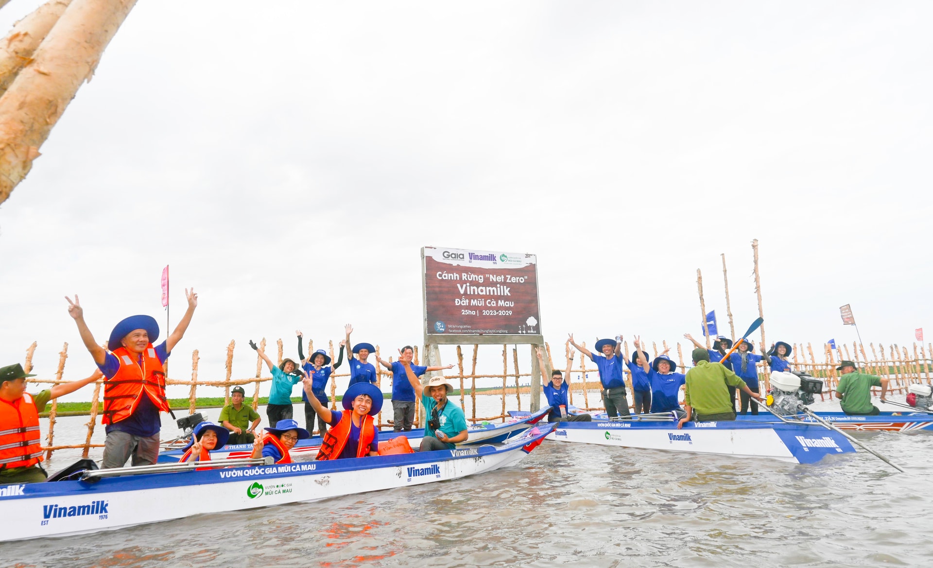 Khu vực khoanh nuôi tái sinh rừng ngập mặn có diện tích 25ha do Vinamilk, Gaia chung tay thực hiện tại vùng lõi Vườn Quốc gia Mũi Cà Mau. Ảnh: Vinamilk.