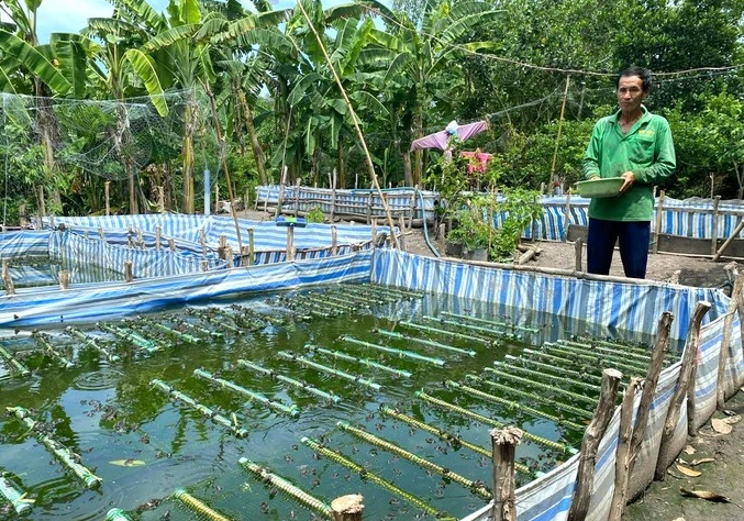 TPHCM: Rà soát hộ nghèo, cận nghèo năm 2024