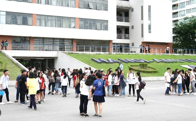 Rà soát nguồn lực để bồi dưỡng nhân tài