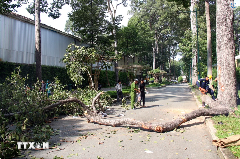 iện trường vụ việc. (Ảnh: Tiến Lực/TTXVN)
