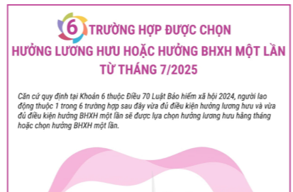 6 trường hợp được chọn hưởng lương hưu hoặc Bảo hiểm xã hội 1 lần