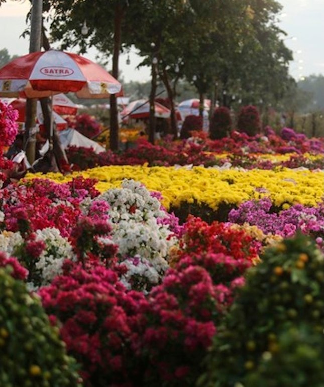 Hoa Xuân tại chợ Bình Điền