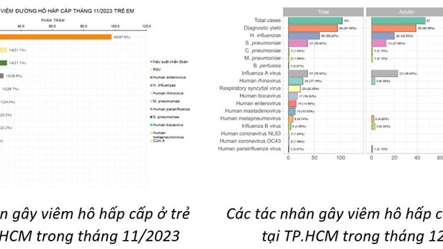 Sở Y tế TP.HCM: HMPV không phải là virus mới, từng được phát hiện từ năm 2023